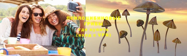 ПСИЛОЦИБИНОВЫЕ ГРИБЫ Шадринск