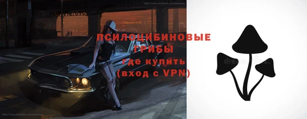 ПСИЛОЦИБИНОВЫЕ ГРИБЫ Шадринск