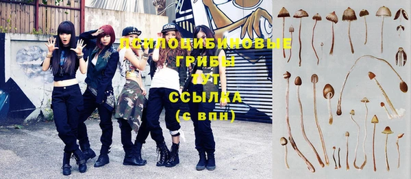 ПСИЛОЦИБИНОВЫЕ ГРИБЫ Шадринск