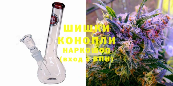 ПСИЛОЦИБИНОВЫЕ ГРИБЫ Шадринск