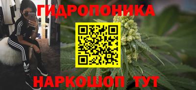 каннабис Волжский