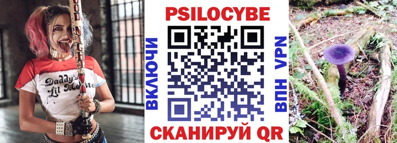 Псилоцибиновые грибы Cubensis  дарнет шоп  Электросталь 