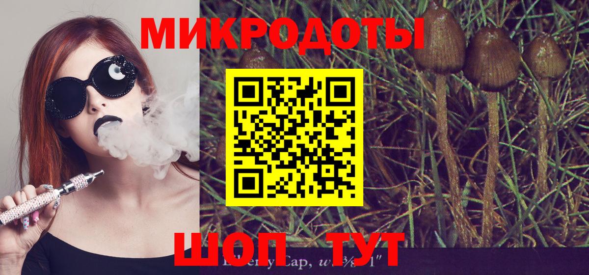 продажа наркотиков  Электросталь  Галлюциногенные грибы Magic Shrooms 